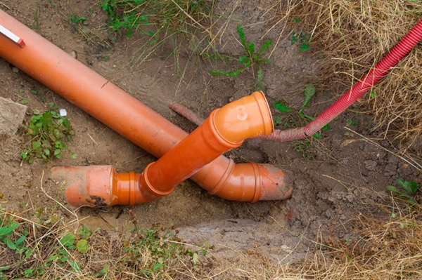 Decoding the Culprit: Common Causes of Sewer Line Clogs in Wisconsin Homes